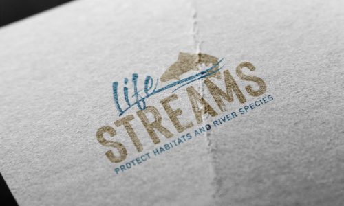 streams_logo